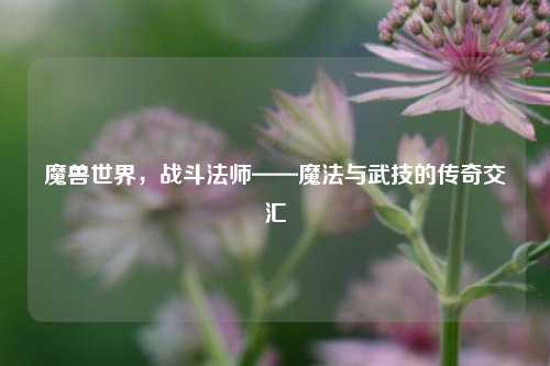 魔兽世界，战斗法师——魔法与武技的传奇交汇