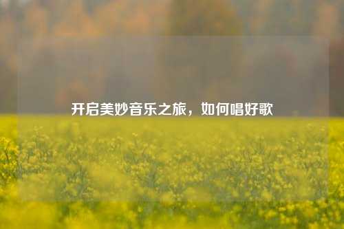开启美妙音乐之旅，如何唱好歌
