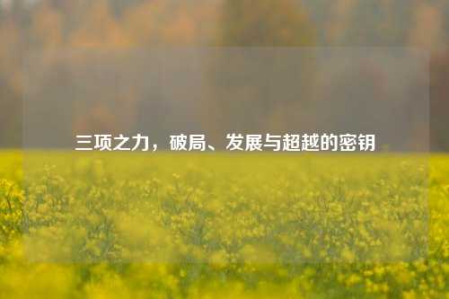 三项之力，破局、发展与超越的密钥