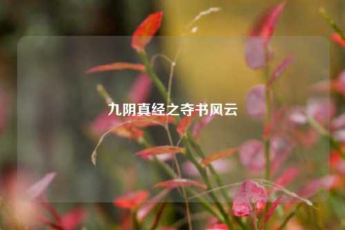 九阴真经之夺书风云