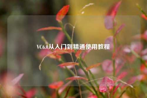 VC6.0从入门到精通使用教程