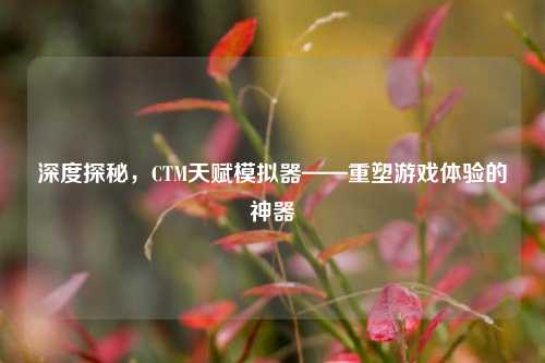 深度探秘，CTM天赋模拟器——重塑游戏体验的神器