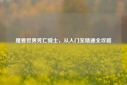 魔兽世界死亡骑士，从入门至精通全攻略