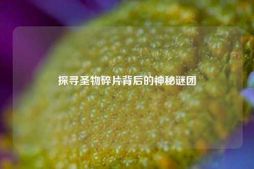 探寻圣物碎片背后的神秘谜团