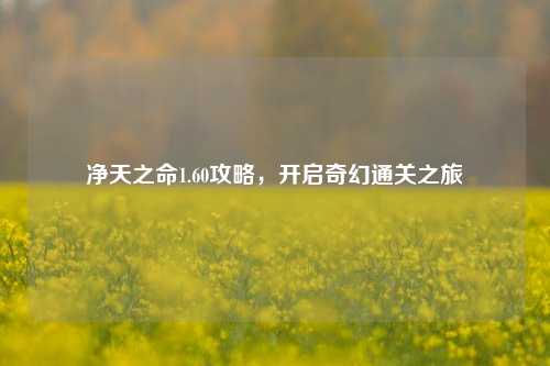 净天之命1.60攻略，开启奇幻通关之旅