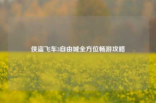 侠盗飞车3自由城全方位畅游攻略