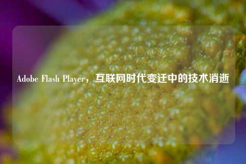 Adobe Flash Player，互联网时代变迁中的技术消逝