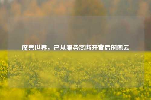 魔兽世界，已从服务器断开背后的风云
