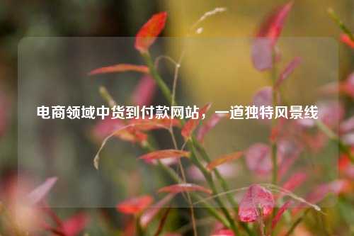 电商领域中货到付款网站，一道独特风景线