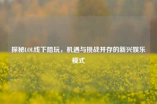探秘LOL线下陪玩，机遇与挑战并存的新兴娱乐模式