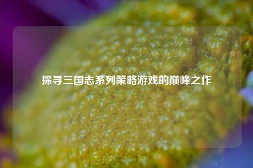 探寻三国志系列策略游戏的巅峰之作