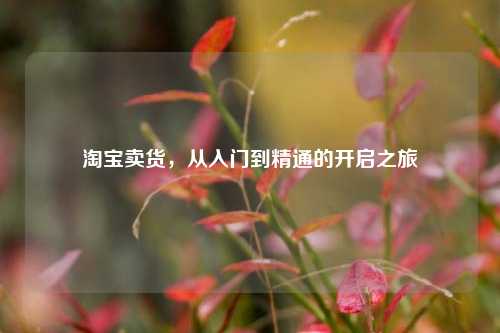淘宝卖货，从入门到精通的开启之旅