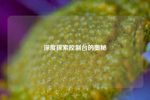 深度探索控制台的奥秘