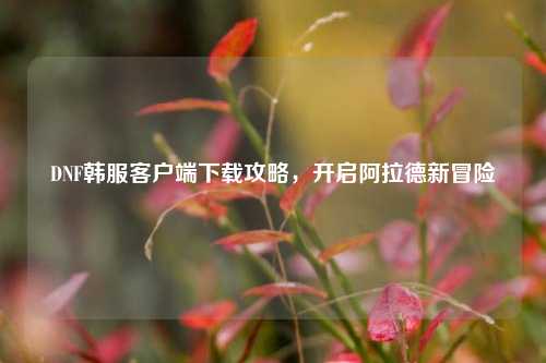 DNF韩服客户端下载攻略，开启阿拉德新冒险