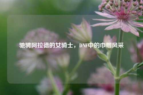 驰骋阿拉德的女骑士，DNF中的巾帼风采