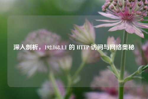 深入剖析，192.168.1.1 的 HTTP 访问与网络奥秘