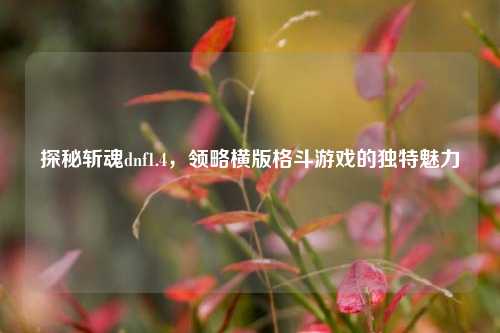 探秘斩魂dnf1.4，领略横版格斗游戏的独特魅力
