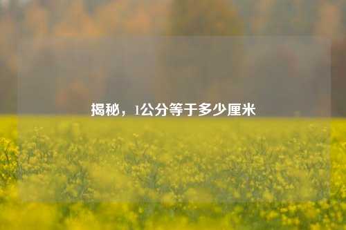 揭秘，1公分等于多少厘米