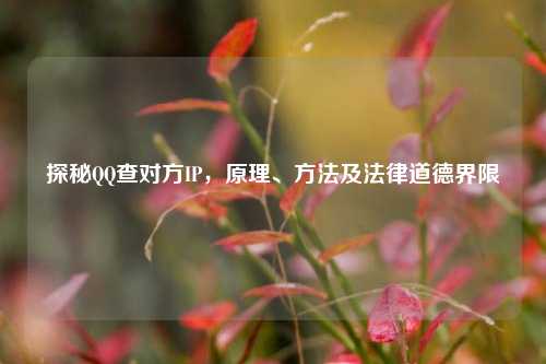 探秘QQ查对方IP，原理、方法及法律道德界限