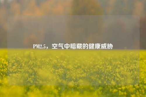 PM2.5，空气中暗藏的健康威胁