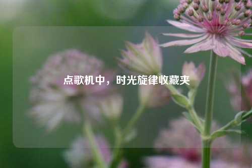 点歌机中，时光旋律收藏夹