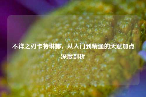 不祥之刃卡特琳娜，从入门到精通的天赋加点深度剖析