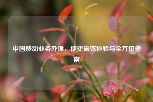 中国移动业务办理，便捷高效体验与全方位指南