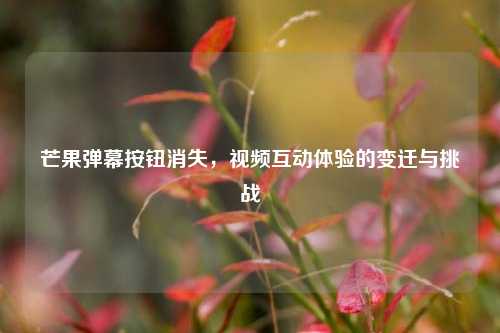 芒果弹幕按钮消失，视频互动体验的变迁与挑战