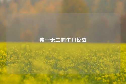 独一无二的生日惊喜