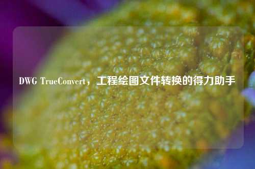 DWG TrueConvert，工程绘图文件转换的得力助手