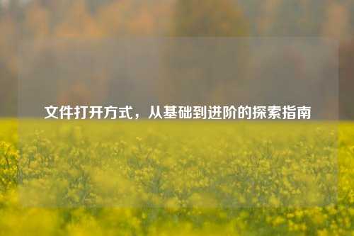 文件打开方式，从基础到进阶的探索指南
