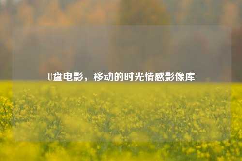 U盘电影，移动的时光情感影像库