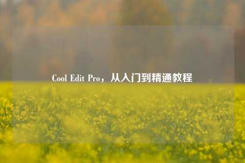 Cool Edit Pro，从入门到精通教程