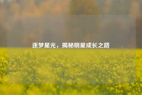 逐梦星光，揭秘明星成长之路
