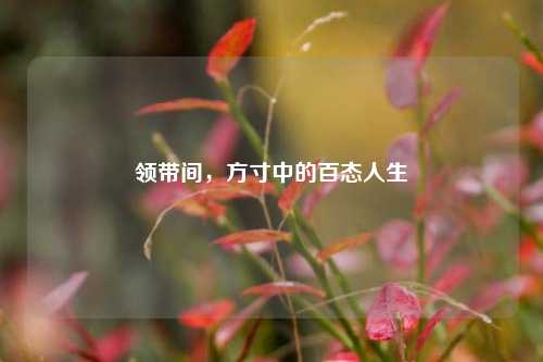 领带间，方寸中的百态人生