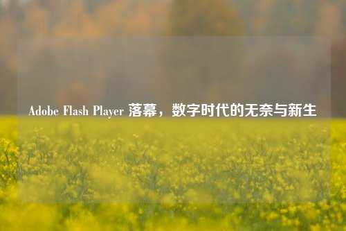 Adobe Flash Player 落幕，数字时代的无奈与新生