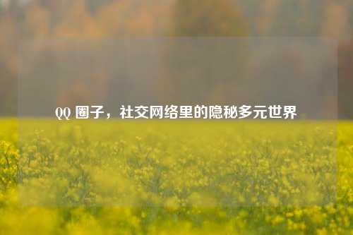 QQ 圈子，社交网络里的隐秘多元世界