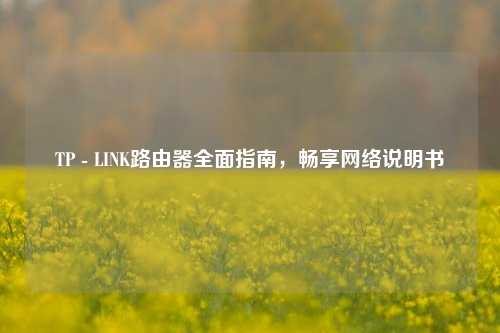 TP - LINK路由器全面指南，畅享网络说明书