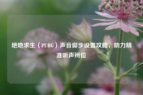 绝地求生（PUBG）声音脚步设置攻略，助力精准听声辨位