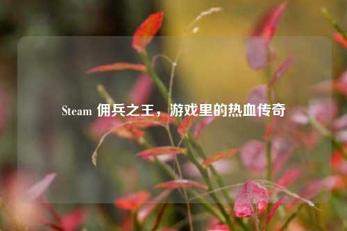 Steam 佣兵之王，游戏里的热血传奇
