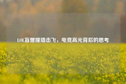 LOL盲僧撞墙击飞，电竞高光背后的思考