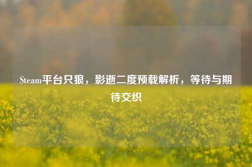 Steam平台只狼，影逝二度预载解析，等待与期待交织