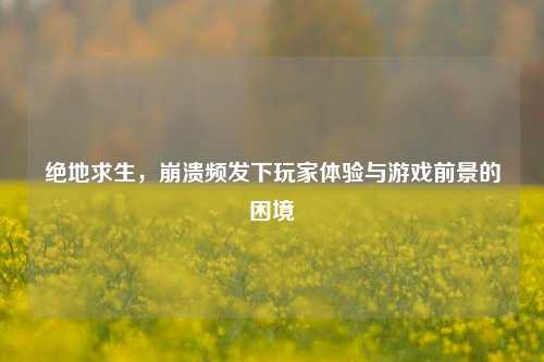 绝地求生，崩溃频发下玩家体验与游戏前景的困境