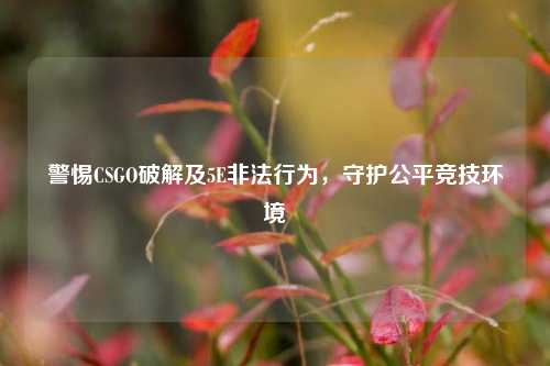 警惕CSGO破解及5E非法行为，守护公平竞技环境